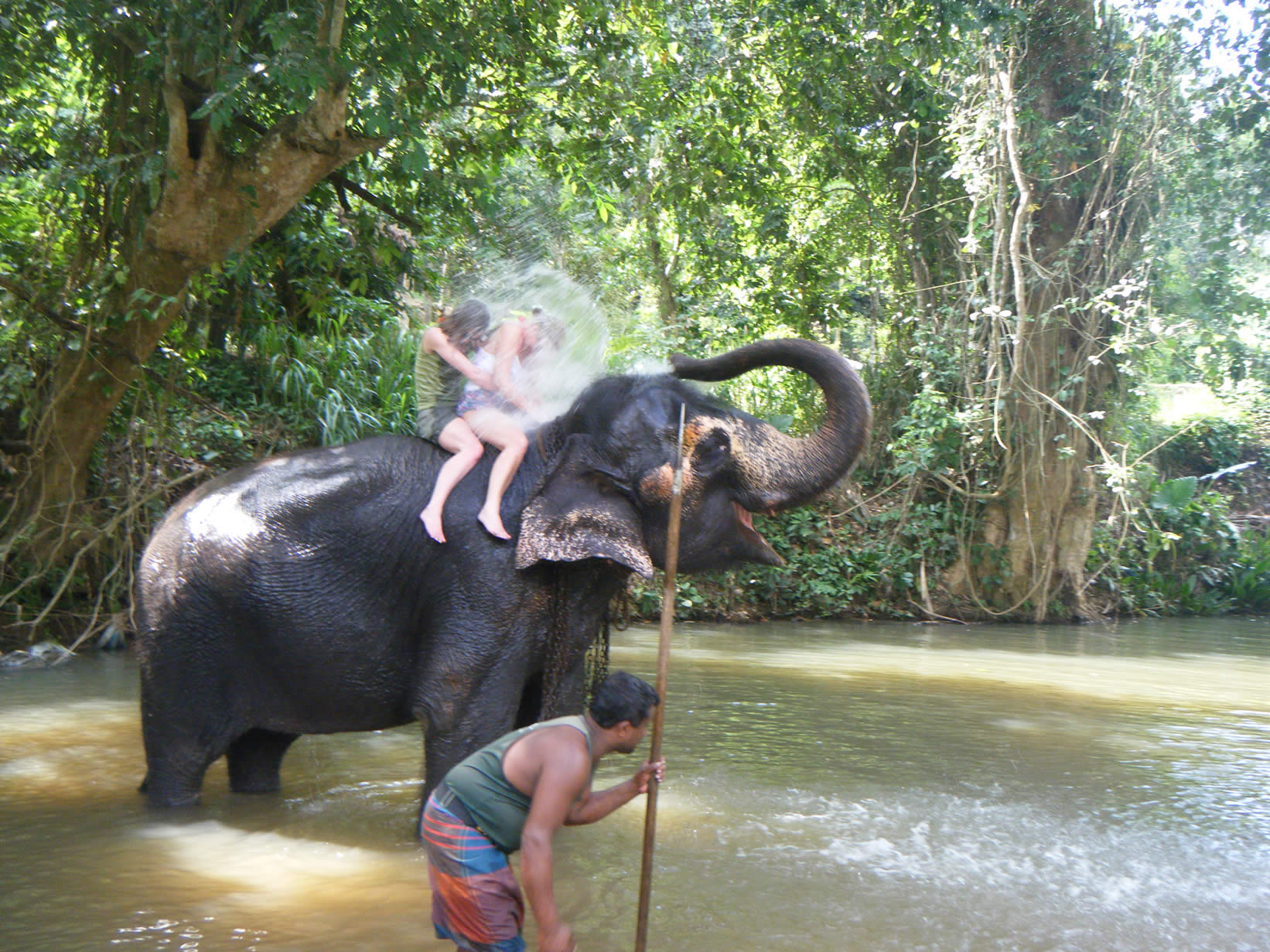 Travel blog: A Serendipitous Sri Lankan Adventure