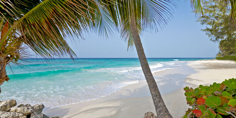 Travel blog: Feel the South Coast Vibrancy at Turtle Beach by Elegant Hotels