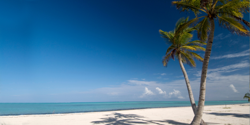 Travel blog: The Essential Travel Guide to the Dominican Republic