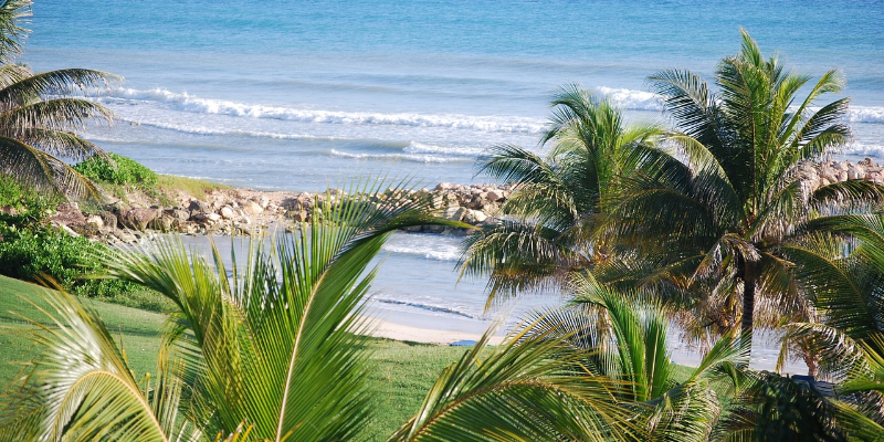 Travel blog: The Essential Travel Guide to Jamaica