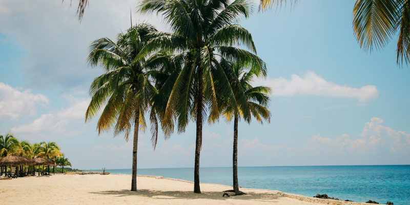 Travel blog: The Essential Travel Guide to Mexico