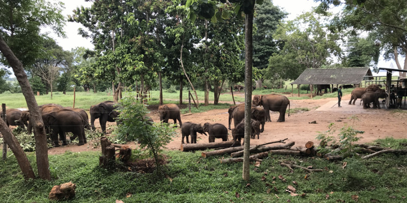 Travel blog: A 3-Pronged Approach to Discovering Sri Lanka